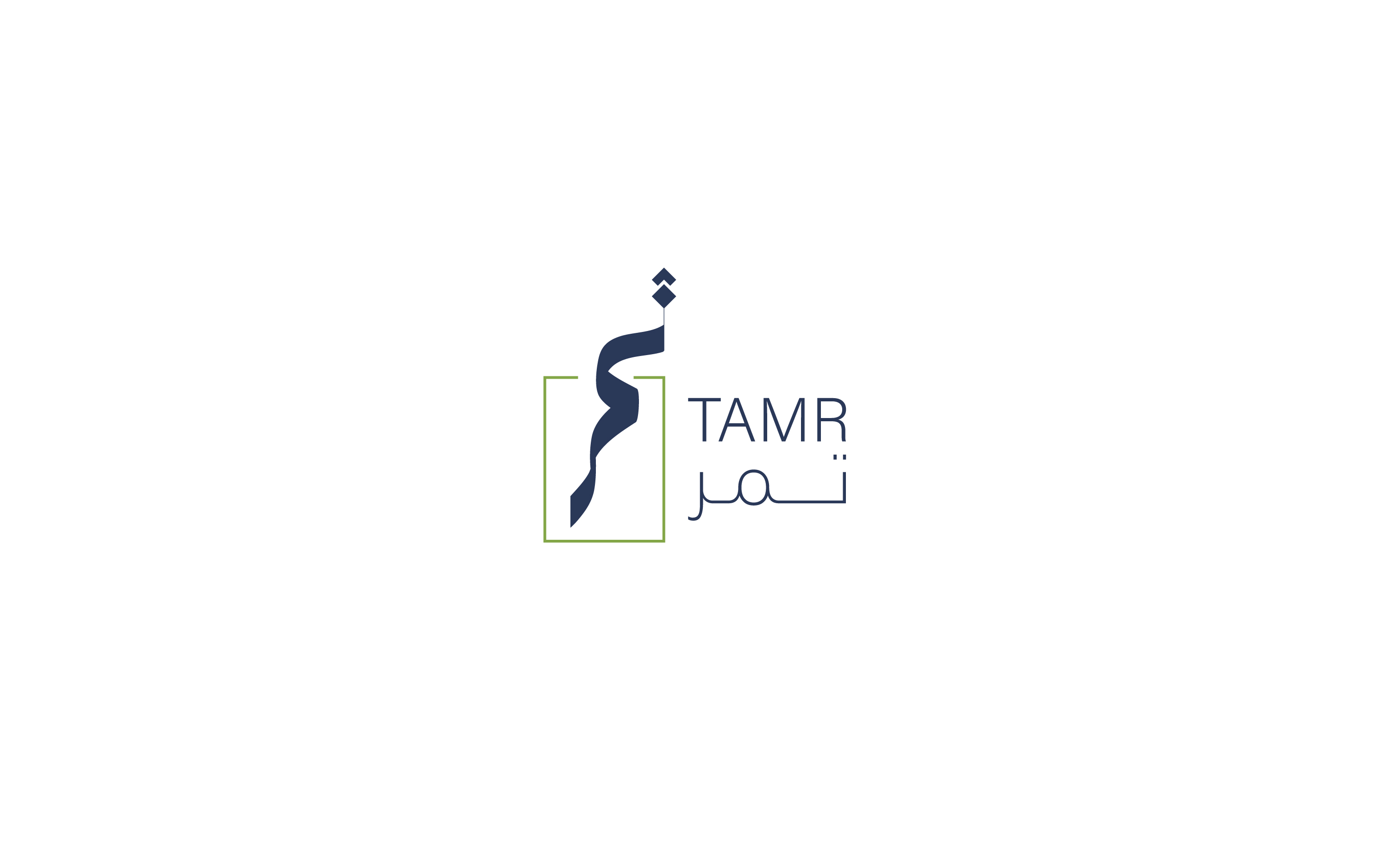 Tamr Brand identity